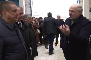 Лукашенко пришел в ярость и уволил губернатора из-за "Освенцима" в коровнике