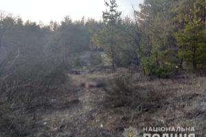В Харьковской области возле кладбища нашли изувеченный труп военного