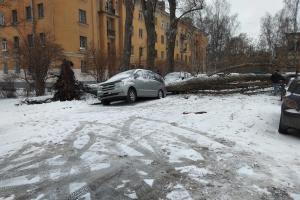 Петербург накрыла снежная буря: из-за метели пришлось закрыть аэропорт