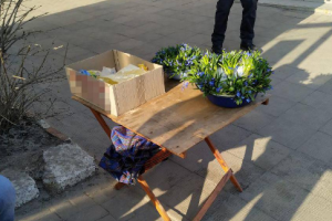 Грозит штраф от 1700 до 3655 гривен: В Северодонецке задержали мужчину, который продавал первоцветы