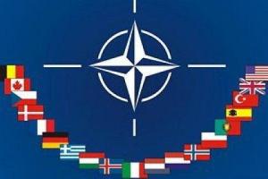 Пономарь: В НАТО признают стремление Украины стать членом Альянса