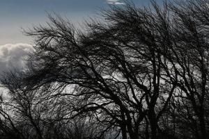 Праздничные дождливые выходные: В начале мая синоптик анонсировала приход циклона