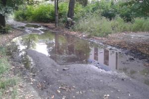 "Вода бежит по улице 10 дней": жители Лисичанска в сети ставят в известность мэра о бездействии водоканала 