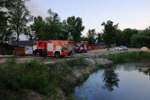 В одном из парков Киева произошел пожар