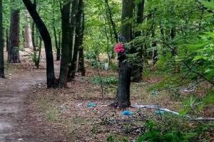 На Львовщине нашли тело пропавшей женщины