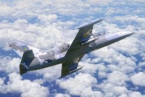 В Харьковской области упал самолет Л-39, которым управлял курсант