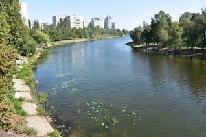 В Киеве объявился маньяк, который топит людей в канале: чудом спасшаяся женщина рассказала о происшествии