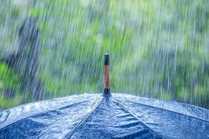 В понедельник в большинстве областей Украины ожидаются дожди с грозами - Укргидрометцентр