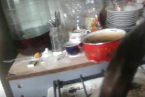 Видеофакт: В Рубежном из-за неадекватности старушки мог произойти взрыв газа в частном секторе