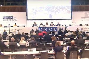 Комитет ПА ОБСЕ принял резолюцию об оккупации Россией территории Грузии