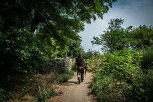 Боевики на Донбассе нарушили перемирие, один армеец ранен