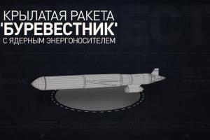 Мировые эксперты подозревают о взрыве ядерной ракеты на полигоне в Архангельской области