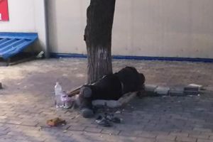 Остановка превратилась в гадюшник: под боком у лисичанской полиции продолжают "отдыхать" бомжи