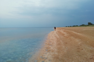 "Море мертвых медуз и никого": в сети показали печальные фото с крымских пляжей