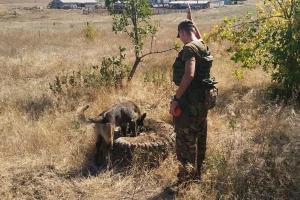В Донецкой области нацгвардейцы нашли тайник с боеприпасами в автомобильной шине