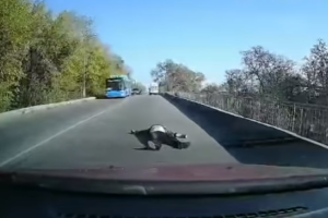 На Днепропетровщине из кареты "скорой" на ходу выпал пациент: видео