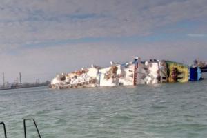 В Черном море перевернулся корабль с тысячами овец