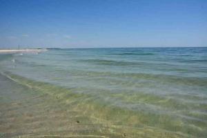 Азовское побережье уходит под воду: пляжи становятся морским дном