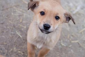 Второй (рассказ мальчика, живущего на войне)