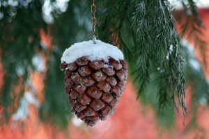 Выходные в январе: украинцам снова перенесут рабочий день на субботу