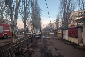 "Кто виноват?" В Лисичанске рухнувший тополь перегородил тротуар
