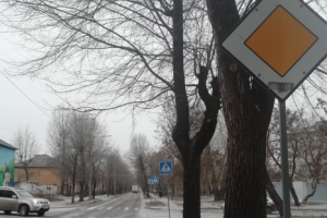 "В бермудском треугольнике исчезают дорожные знаки": В Северодонецке впечатлены наглостью вандалов