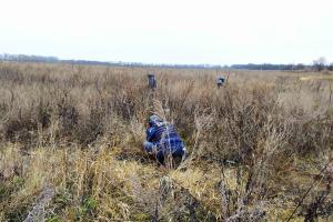 Саперы обследовали поле возле Лисичанска