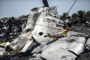 Слушания по делу MH17 пройдут в урезанном составе из-за распространения коронавируса