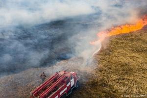 Помог дождь: Пожар в Чернобыльской зоне удалось потушить