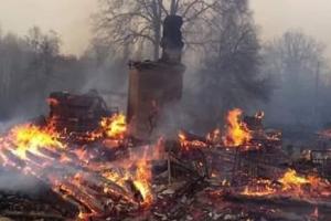 Пострадавшим от пожаров в Житомирской области готовят компенсации
