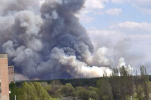 Лесные пожары "накрывают" Украину: под Северодонецком масштабно полыхает лес