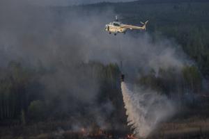 В Чернобыльской зоне вспыхнул масштабный пожар, который не удается потушить