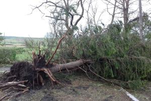 На Луганщине ликвидируют последствия непогоды: стихия нанесла огромный ущерб области