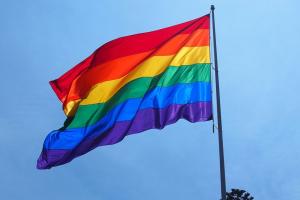 ЛГБТ в Украине: Минобразования привлекло девушку нетрадиционной ориентации к онлайн-уроку