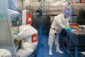 "Приспособлен для заражения людей": Ученые не исключают лабораторное происхождение коронавируса
