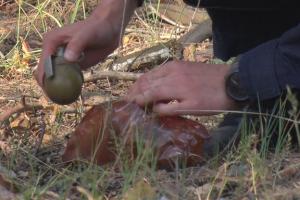 Опасная находка: В Северодонецке около автовокзала нашли гранату - видео