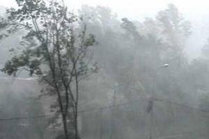 В Украине объявлено штормовое предупреждение: какие области "накроет" непогода