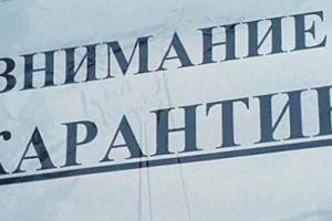 Какие ослабления карантина ждут Луганскую область: в ЛОГА сделали важное заявление