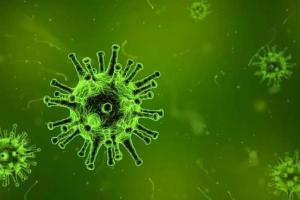 Ситуация с COVID-19: в Украине зафиксировали более полутысячи новых случаев