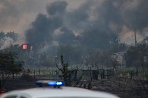 С высоты птичьего полета: в сети показали последствия лесных пожаров на Луганщине - видео