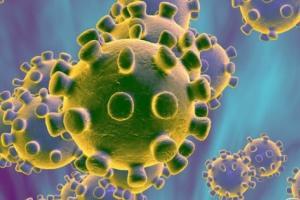 Коронавирус в регионе, уборка стихийных свалок и перерасчет пенсий: главные новости региона за 28 августа