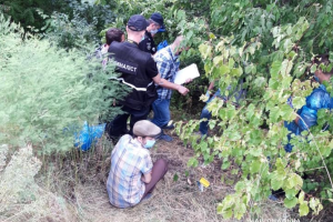 Вбиту на Київщині дівчинку відпустили гуляти до 3 години ночі: у поліції є питання до батька