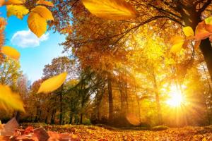 Теплее, чем обычно: какой будет погода в первом месяце осени