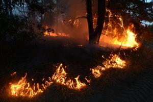 Пожары на Луганщине: Военный, которого считали пропавшим без вести, погиб