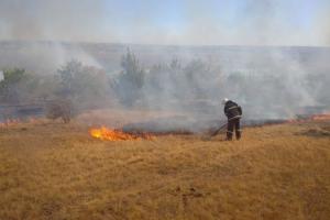 Во время тушения пожара на Луганщине сдетонировал боеприпас: ранен спасатель