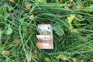 Незвичайна знахідка на кордоні з Румунією: прикордонники виявили у траві 9 тисяч євро