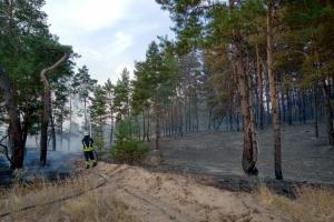 У Луганській області знову палає ліс