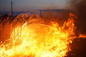 Полум'я ледь не поглинуло селище: Гайдай розповів про ситуацію з пожежами на Луганщині