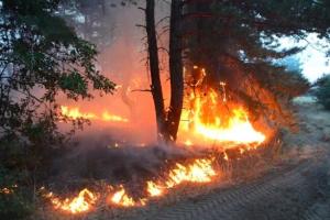 Масштабный очаг возгорания на Луганщине распространился с территории РФ