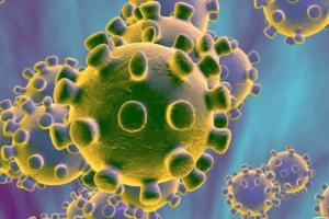 В одной из стран Европы обнаружили новый вид коронавируса